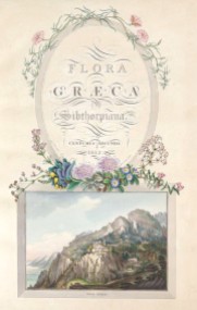 Ferdinand Bauer - Voorblad van Flora Greaca ©Teylers Museum